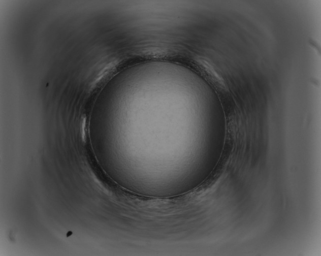 X0000091920024200709191349