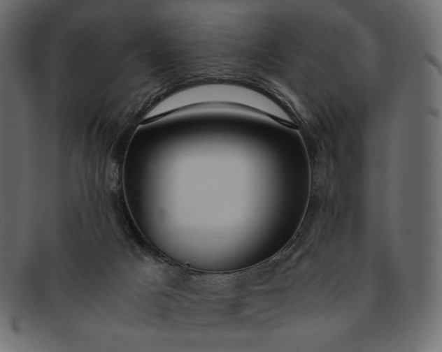 X0000091920025200709191349