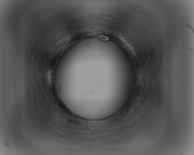 X0000091920026200709191349