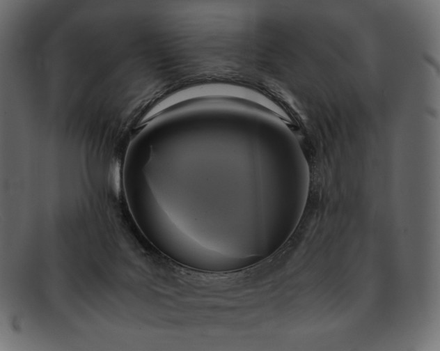 X0000091920027200709191349