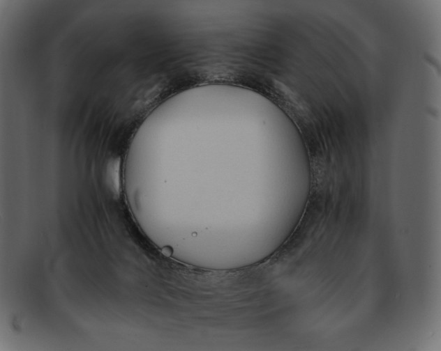 X0000091920028200709191349