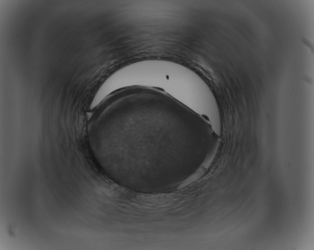 X0000091920029200709191349