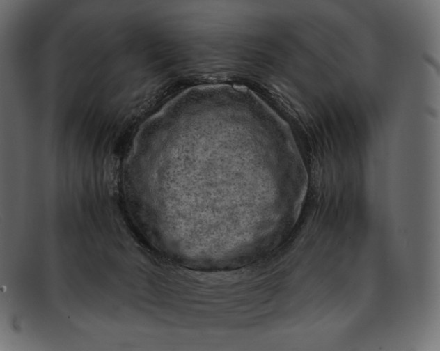 X0000091920030200709191349