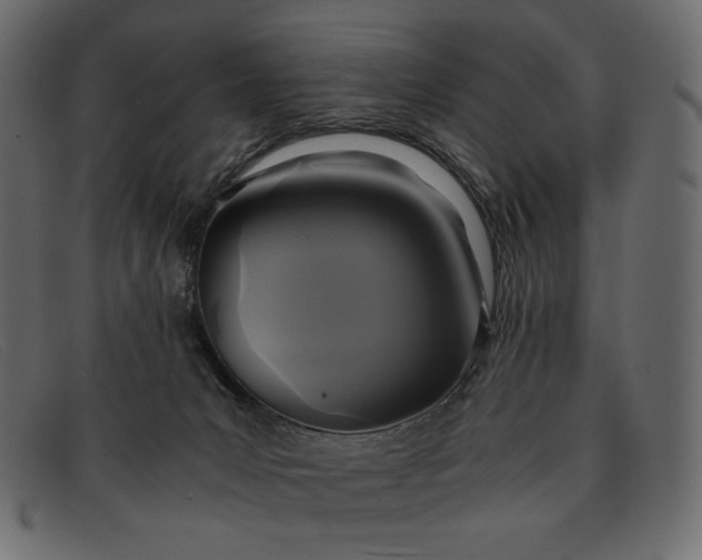 X0000091920031200709191348