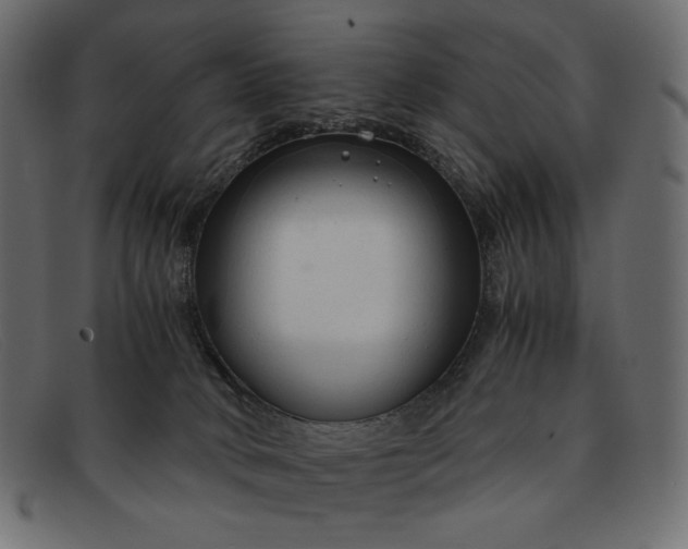 X0000091920034200709191348