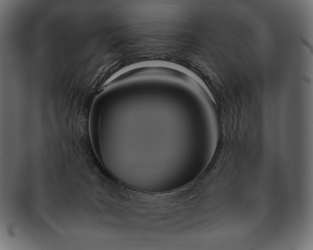 X0000091920035200709191348