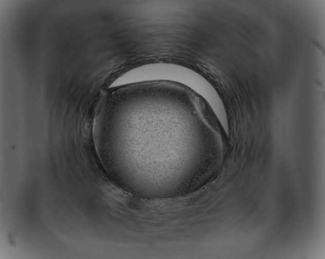 X0000091920037200709191348