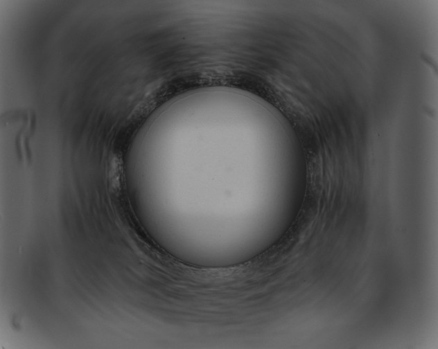 X0000091920038200709191348