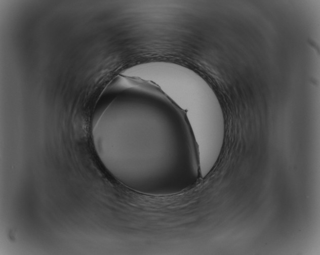 X0000091920039200709191348