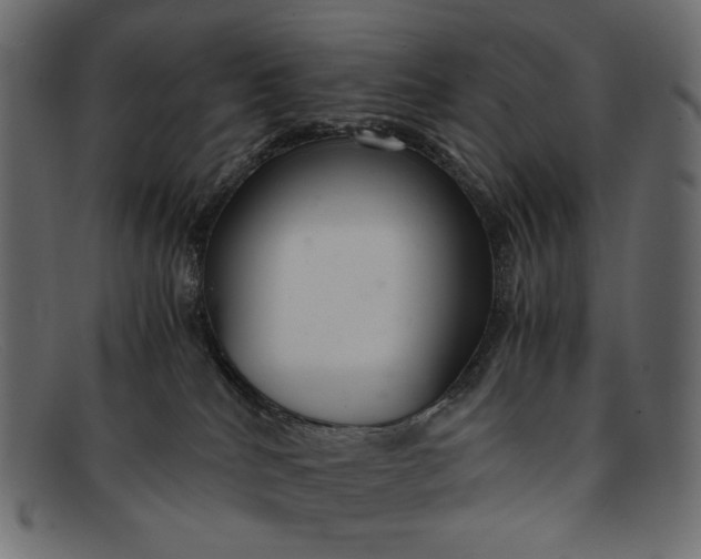 X0000091920040200709191348