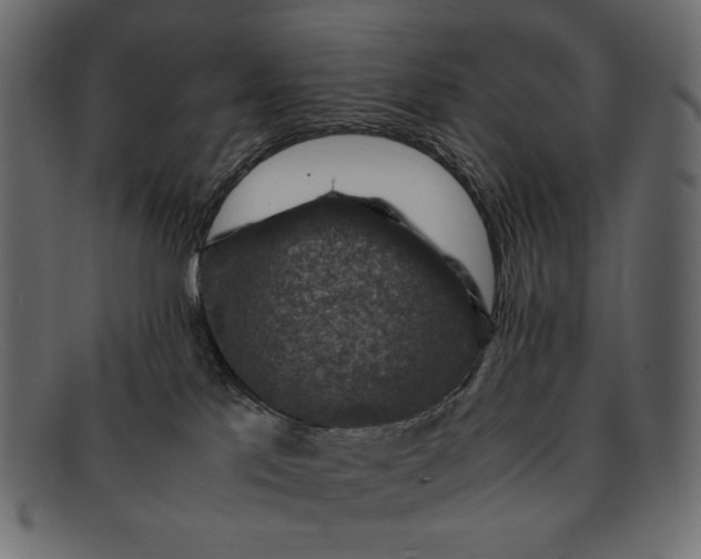 X0000091920041200709191348