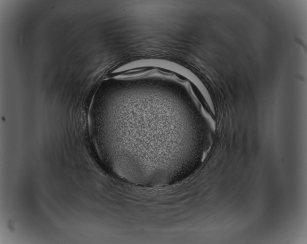 X0000091920043200709191348