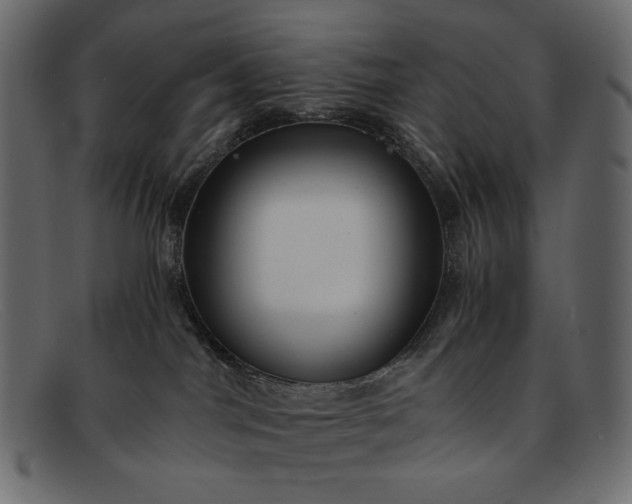 X0000091920044200709191348