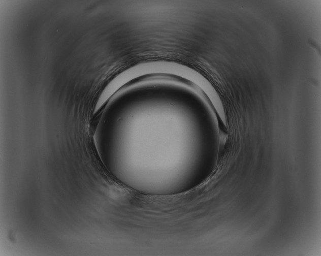 X0000091920045200709191348