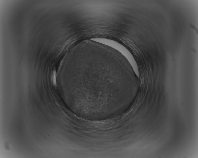 X0000091920046200709191348