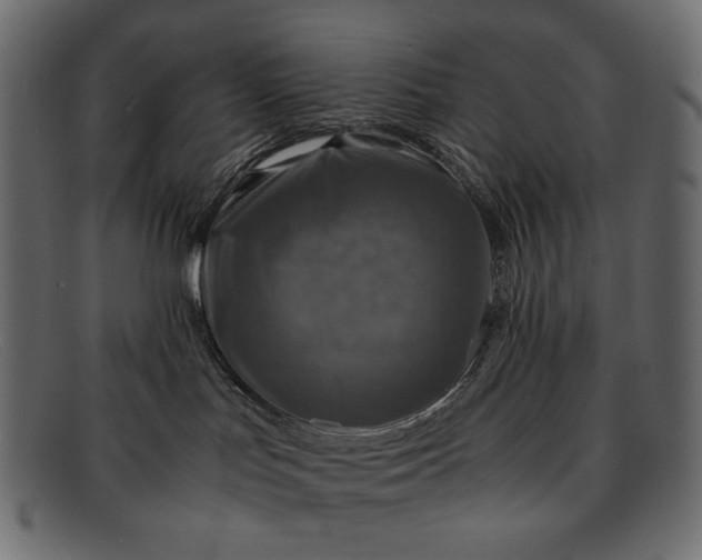 X0000091920047200709191348