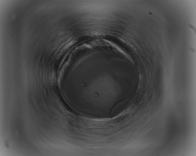 X0000091920048200709191348