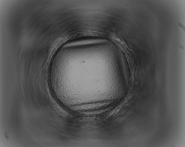 X0000091920049200709191348