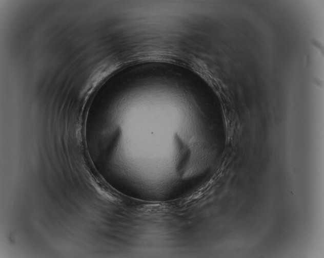 X0000091920050200709191348