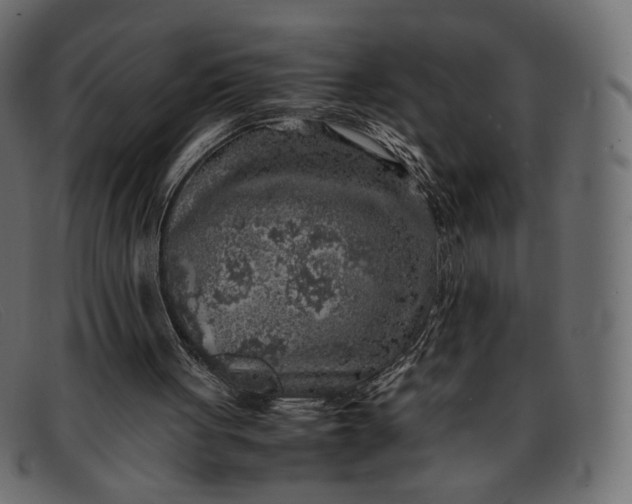 X0000091920051200709191348