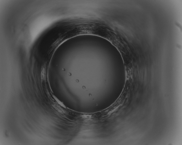 X0000091920052200709191348