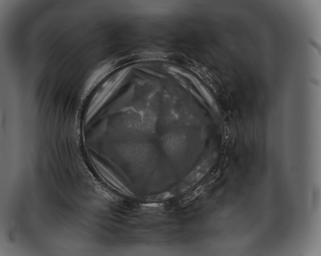 X0000091920053200709191348