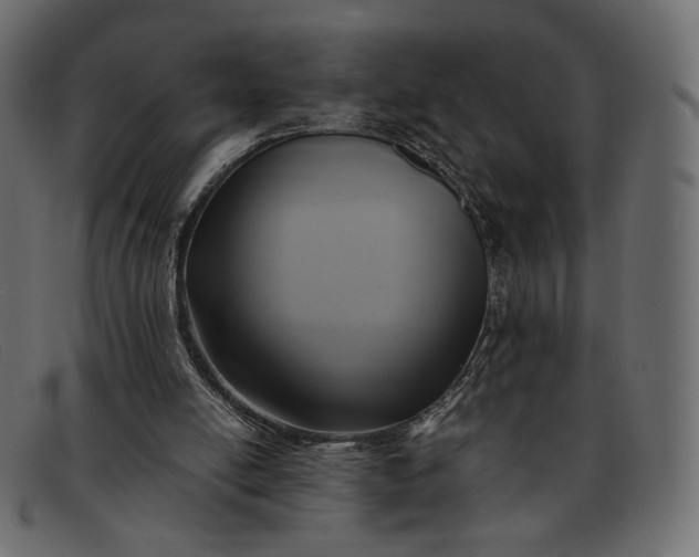 X0000091920054200709191348