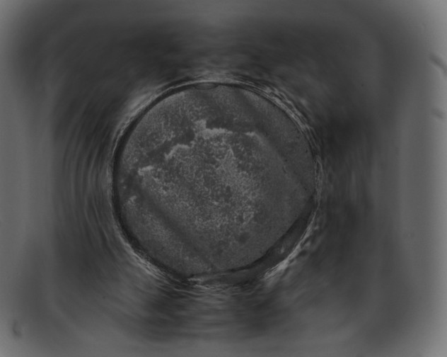 X0000091920055200709191348