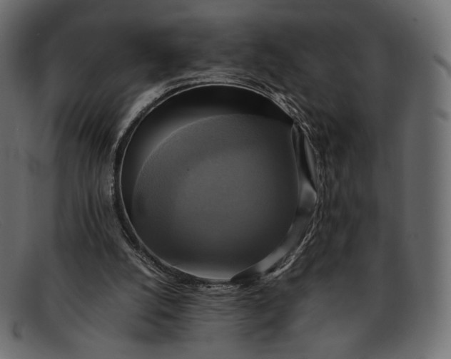 X0000091920056200709191348