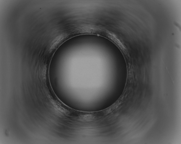 X0000091920058200709191348