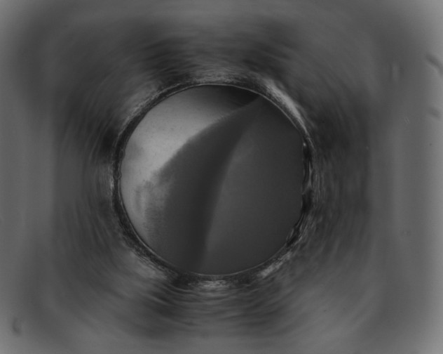 X0000091920059200709191348