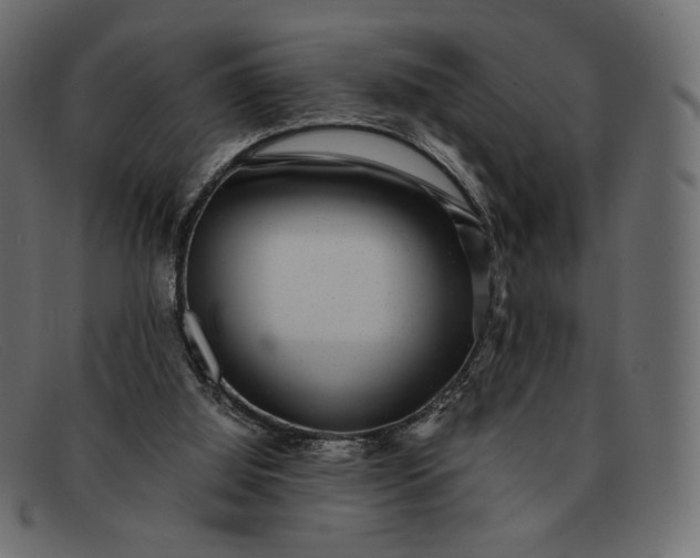 X0000091920060200709191348