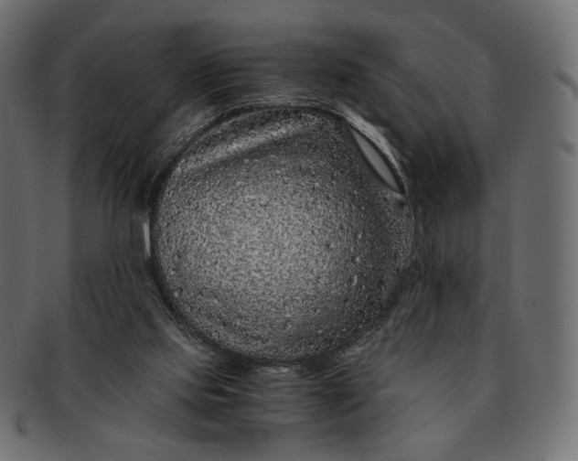 X0000091920061200709191348