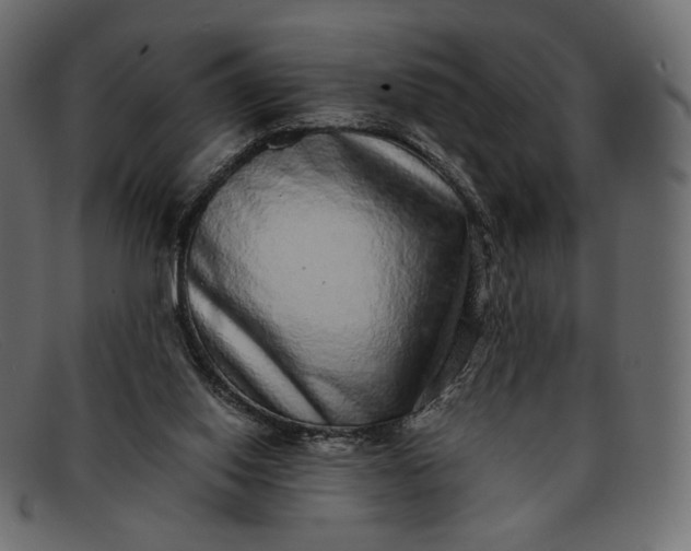 X0000091920062200709191348