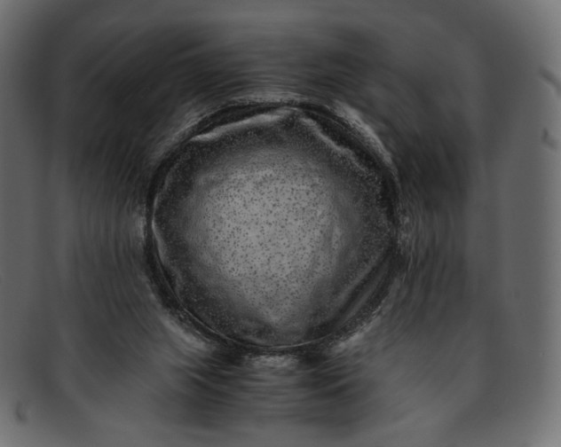 X0000091920063200709191348