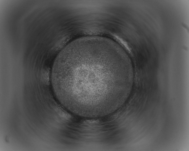 X0000091920065200709191348