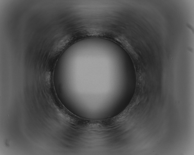 X0000091920066200709191348