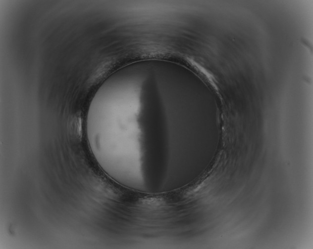 X0000091920067200709191348