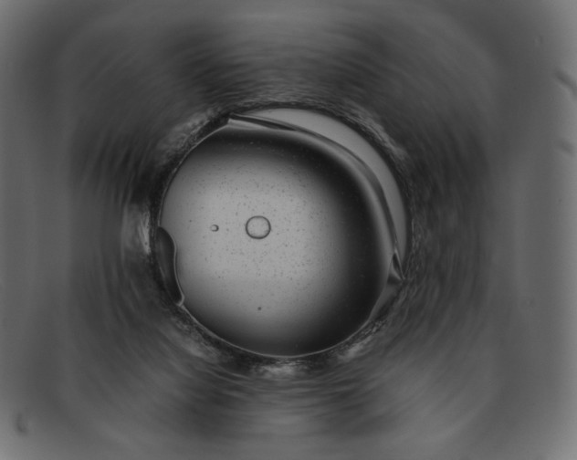 X0000091920068200709191348