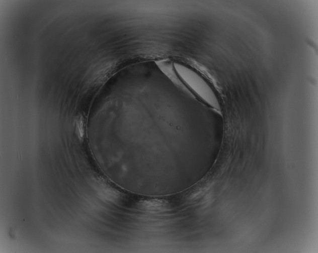 X0000091920069200709191348