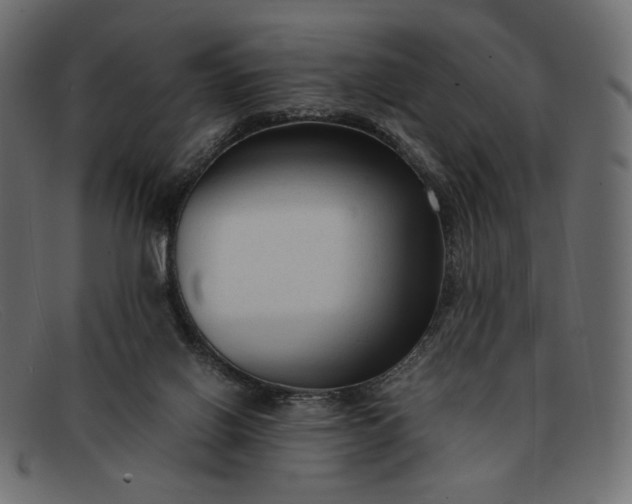 X0000091920070200709191348