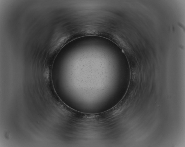 X0000091920072200709191348