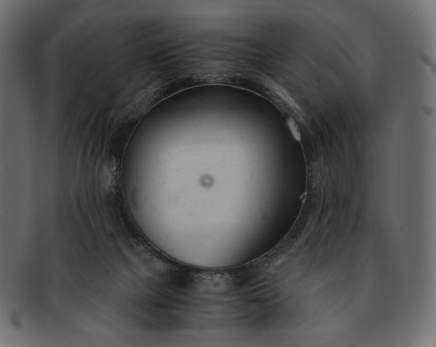 X0000091920073200709191348