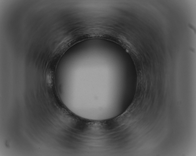 X0000091920074200709191348