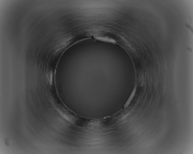 X0000091920076200709191348