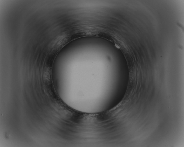 X0000091920078200709191348