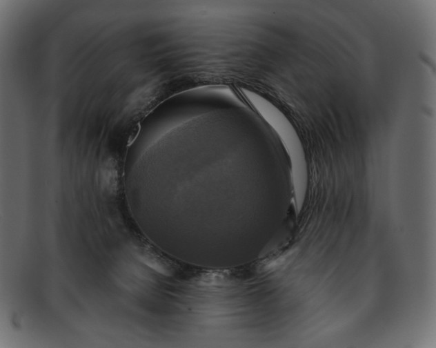 X0000091920080200709191348