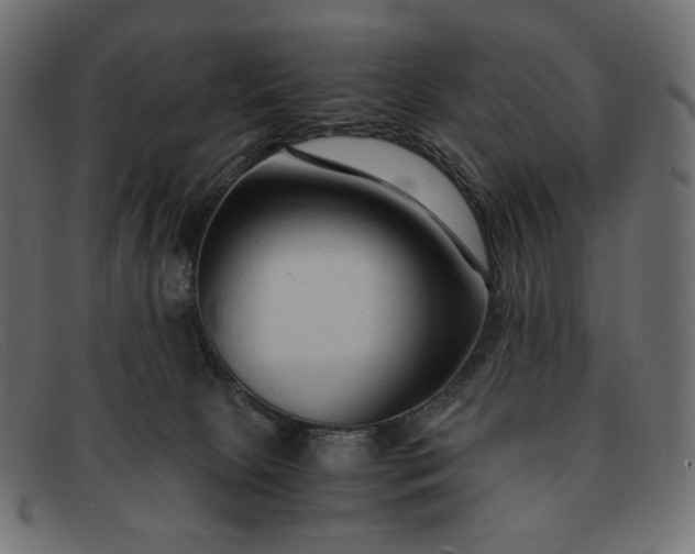 X0000091920081200709191348