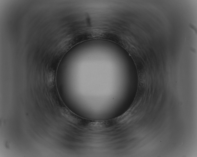 X0000091920082200709191348