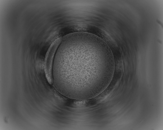 X0000091920084200709191348